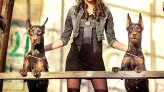 Beautiful Girls with their  Dobermans compilation