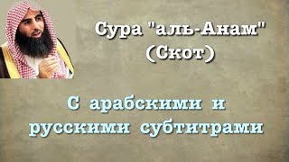 Сура 6 - аль Анам (арабские и русские титры) Мухаммад Люхайдан