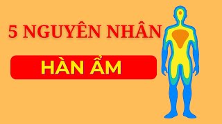 5 Nguyên Nhân Hàn Ẩm Xâm Nhập Gây Cơ Thể Hàn Lạnh Phổ Biến Gây Hại Cho Sức Khỏe | Vikicare