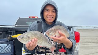 Catching HUGE Surf Perch on Washington Beach!