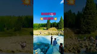 Doodhpathri kashmir #shortvideo #shorts