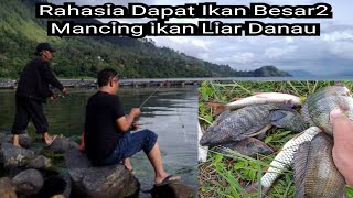 Rahasia Mancing Di Danau Ranau ikan Nya Besar-Besar Dan Rame Seperti Lomba