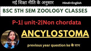 BSc 5th sem zoology class|P1|unit-2|Ancylostoma, with pyq, Hindi+English#bsc5thsemester #bsc#bscbio