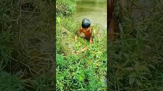 Trap hand fishing movie, best throwing Catching fishing, bass fishing, #village fishing, ‪#video #fi