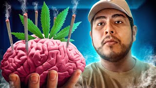 How Marijuana Makes You Feel & Long Term Consequences