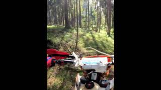 Красота в лесу неописуемая #eduardoenduro #enduro #эндуро #shorts #прохват#питбайк