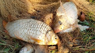 Traditional cast net fishing | Big fish hunting by cast net | Fishing With Cast Net