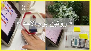 اقضوا معي يوم الأحد مع التعليم عن بعد🦋- Sunday routine