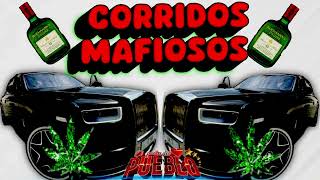 Corridos Mafiosos ✴️el tigrillo palma lo más perron