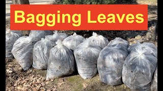 We quickly fill 15 clear garbage bags with leaves - is there a better way?