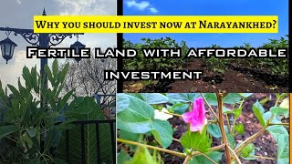 Best Investment Zone Plots For Sale  | Farm Plots For Sale In Narayankhed @ArunaShreeAds