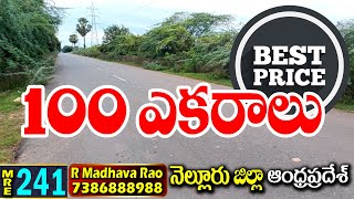 100 ACRES FARM LAND FOR SALE|| PODALAKUR (AP)|| NELLORE DT. 7386888988#MEDHANSHI REALESTATE||MRE-241