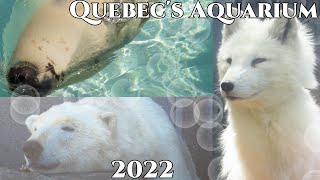 Quebec's Aquarium 2022 -Cinematic Video-