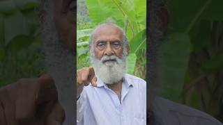 Actor T G Ravi Farming | കൃഷി | കവുങ്ങു | അടക്ക | | Legendary Actor | #kavungu #chunkapuranursery