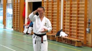 Kagawa-sensei demonstrates a sequence from kata jion