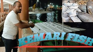 kemari seafood|grilled fish|prawns|fish market kemari karachi