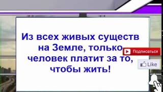 Включите свой мозг! Это только начало кризиса