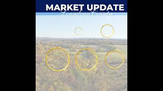 WEEKLY MARKET UPDATE  October 14 October 20, 2024