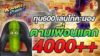 สล็อตไก่ชน rooster rumble สล็อต ไก่ชน pg  ทุน 600 เล่นไก่คะนอง ตามเพื่อนแตก 4000++