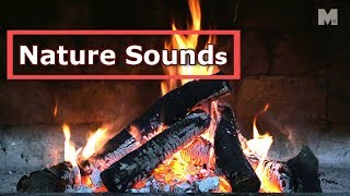 Burning Fireplace with Crackling Fire Sounds