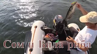 Риболов на сом на яз. Малко Шарково