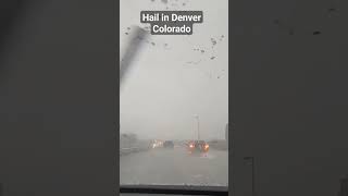 Live Hail in Denver CO with no visibility #hail #denver #colorado #dangerous #live