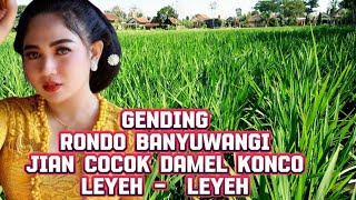 RONDO BANYUWANGI GENDING JAWA KUNO COCOK DI MIRENGKE SINAMBI LEYEH LEYEH.