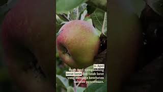 Perbaiki Pencernaan Anda dengan Manfaat Buah: Rahasia Kesehatan Pencernaan yang Terungkap!