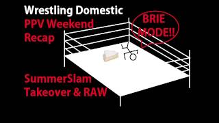 Wrestling Domestic : PPV Weekend Recap