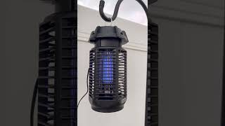 Bug Zapper-Perfect for Wasps and Mosquitos!