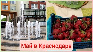 Прохладный май🌺 Майская клубника 🌺Меня узнали 🌺Переезд в Краснодар