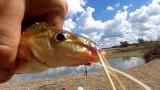 🏕️ Campamento - PESCA VARIADA - Rio Gualeguay 🎣🧉