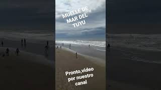 MUELLE DE MAR DEL TUYU #lospescadores #shorts #shortvideo