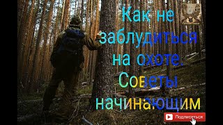 Как не заблудиться на охоте. Советы начинающим