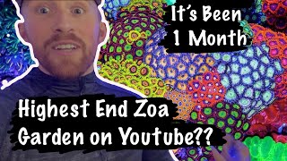 Is this the HIGHEST END ZOA GARDEN You’ve Ever Seen?? 😳😳🤑 ONE MONTH OF INCREDIBLE GROWTH!!