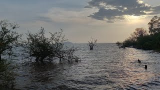 A view Of The Kenyan Ugandan Border 🇺🇬 From The Shores Of Lake Victoria