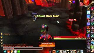 Dual-boxing Hunters - Rare Pet Diary #14 (Nov 9, 2011)