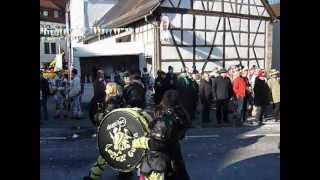 Hailfinger Schnattergees 2013 u. LezzFezz Gugga  beim Rottenburger FasnetsUmzug