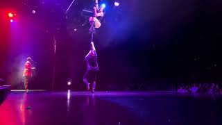 Duo “Da Vinci” Aerial Pole duo