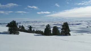 Cub Ski flying