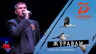 Алексей Синтюрин - Журавли