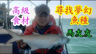 【香港釣魚】《尋找夢幻魚種馬友友》