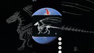 I found the Dinosaur and Man Skeleton Sculpture to be amazing |#shorts #trending #viralvideo #earth|