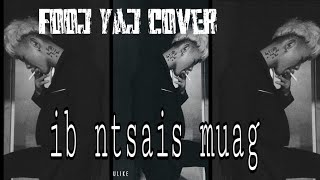 zaj dub ib ntsais muag  fooj yaj cover