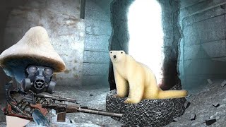 Polar bear 2026 Lore