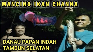 MANCING IKAN CHANNA || Danau Papan indah tambun bekasi