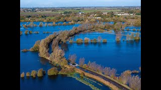 None but the brave – or foolish – risk flooded A1101 at Welney