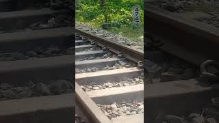 রেললাইনের মাঝে পাথর #stone #railline #train #railway #shorts #journey #সপিউল-৬৪