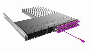 Patchbox Plus- Fibre variant