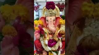 प्रारंभी  विनती करू गणपती विद्या दया सागरा .#ganpatibappamorya #ganpati